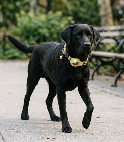 PAWFIX Reflective Waterproof AirTag Pet Collar