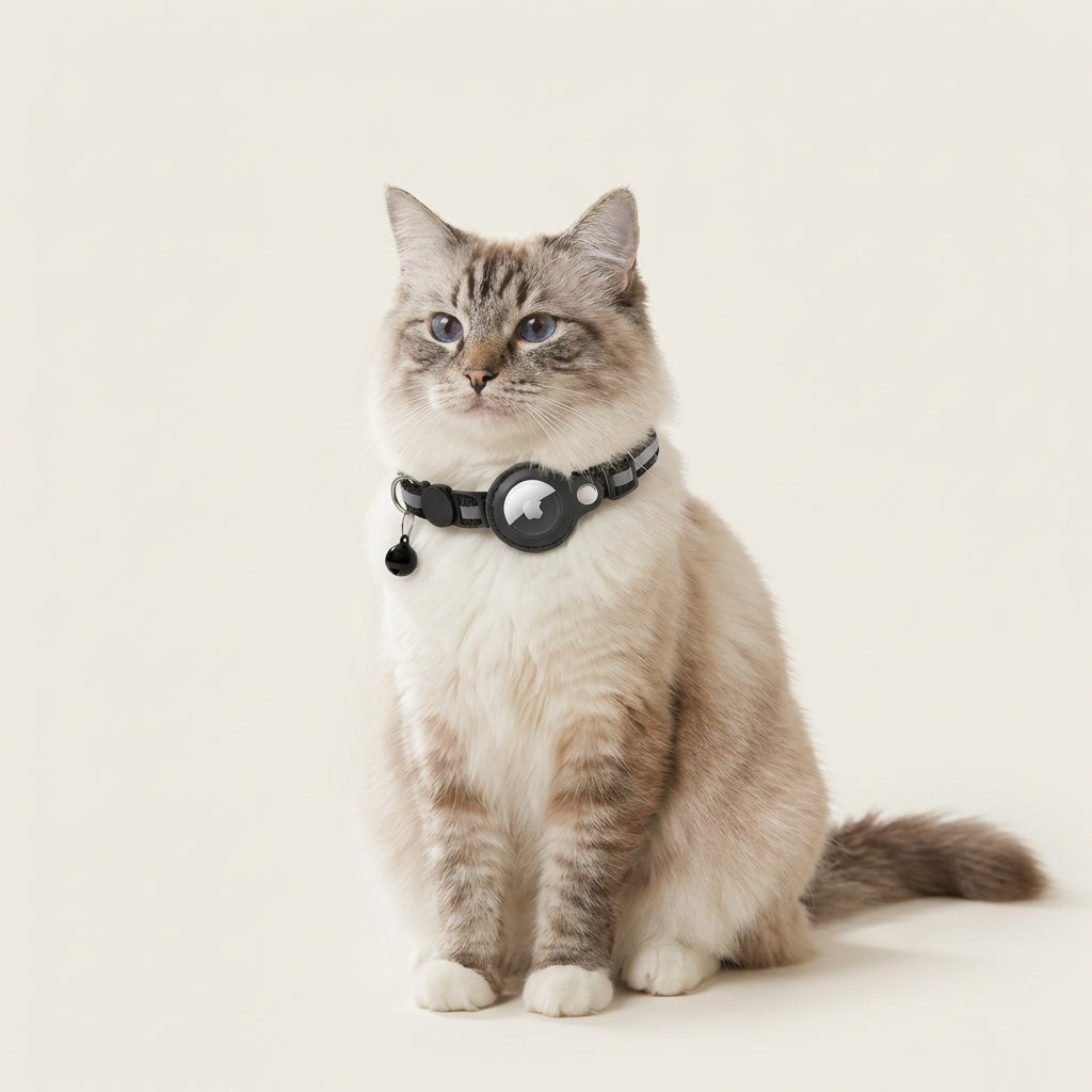 HaloTrack Collar