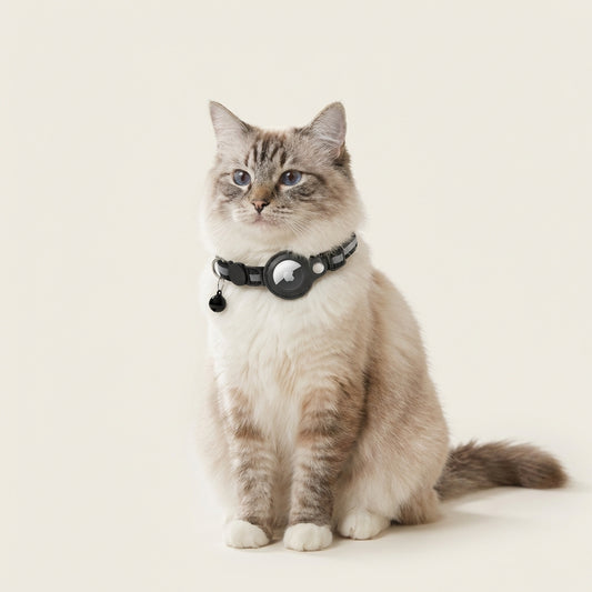 HaloTrack Collar